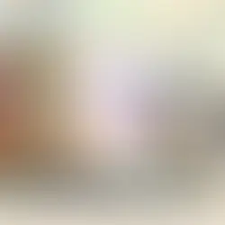 MEOW Cat Adventures on Kickstarter — official campaign artwork by Catilus showing cat adventurers in a D&D 5E fantasy setting