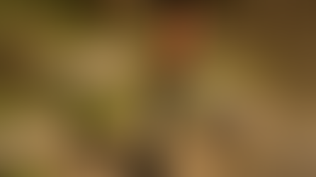 DIG:IT Metal Detector on Kickstarter - 2-in-1 Pinpointer and Trowel