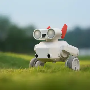 Beni camera robot on grass outdoors showing front-facing camera lens, wheels, and compact body in a park setting