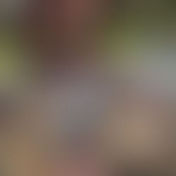 Heropolis game on Gamefound celebrates everyday heroes through strategic city building