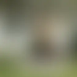 Pavo Pilates Reformer on Kickstarter smart foldable reformer