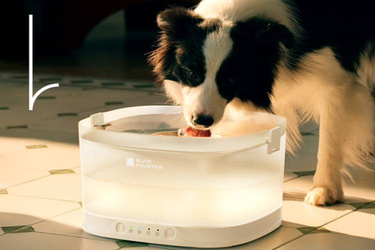 Elfin Fountain pumpless smart water system for dogs and cats