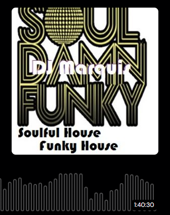 Soul Damn Funky - MxCld.png