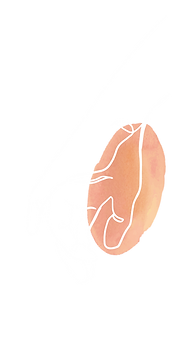 illus main blanc plus tache-04.png
