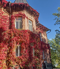 IMG_20240930_131249_HDR.jpg