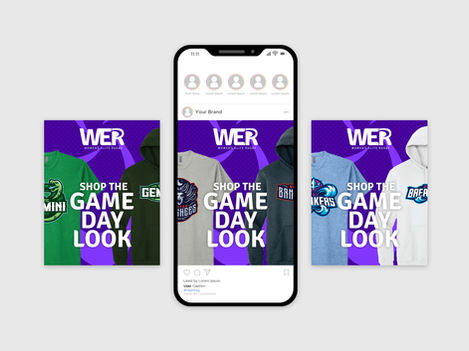 WER-4