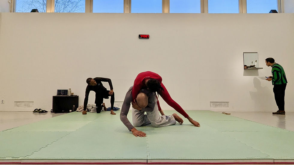 Freddy Houndekindo, men/ding, MFA solo exhibition, Galleri Mejan, Royal Institute of Art, Stockholm. Photo: Zachary Whittenburg