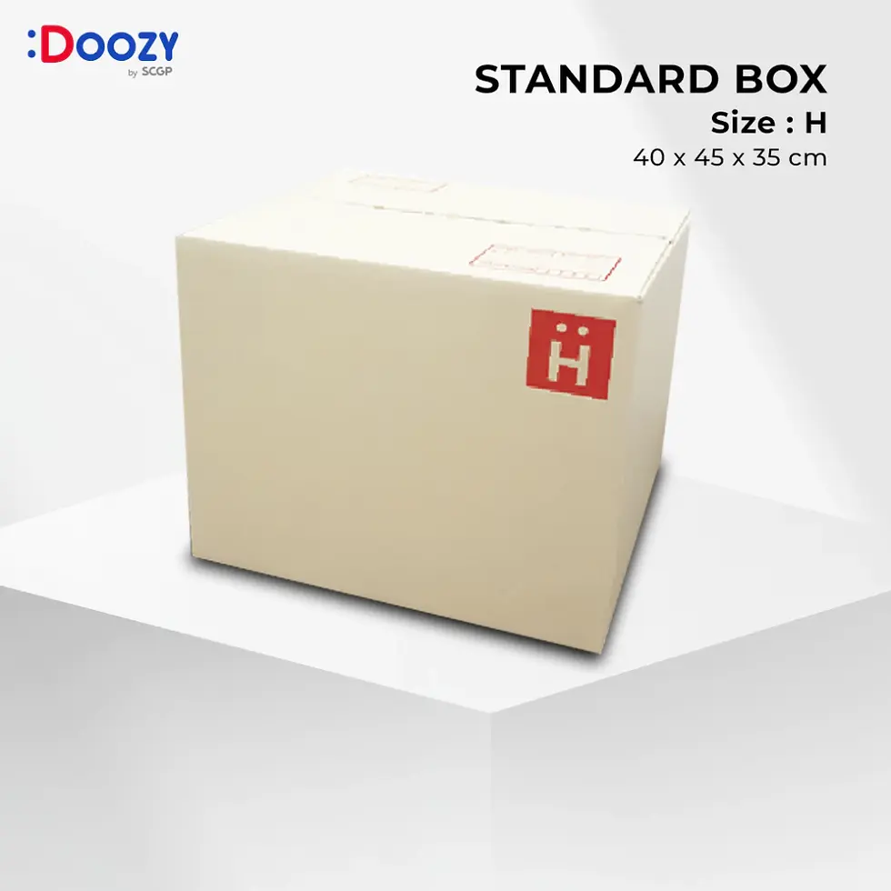 กล่อง Doozy Regular Box (SIZE H) : 40x45x35 cm