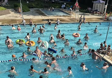 poolphotofromabove.png