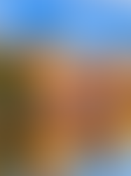 Roteiro de 2 Dias em Bruges