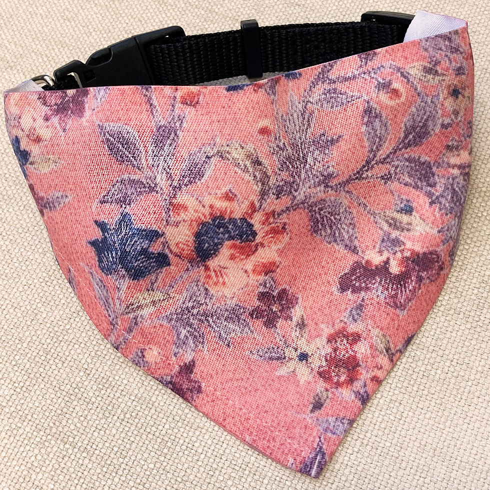 Adjustable Bandana Collar