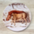 Thumbnail: Botanical Illustration Safari Coasters Set of 4