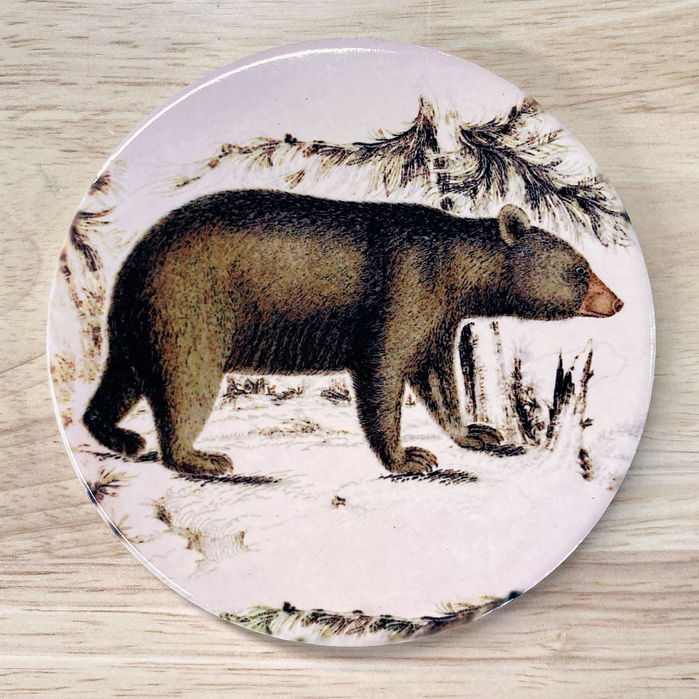 Thumbnail: Lion, Tiger and Bear Coasters Set of 4