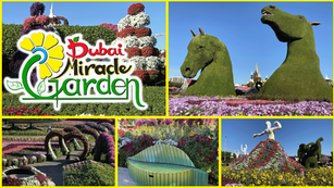 We loved visiting the incredible Dubai Miracle Garden