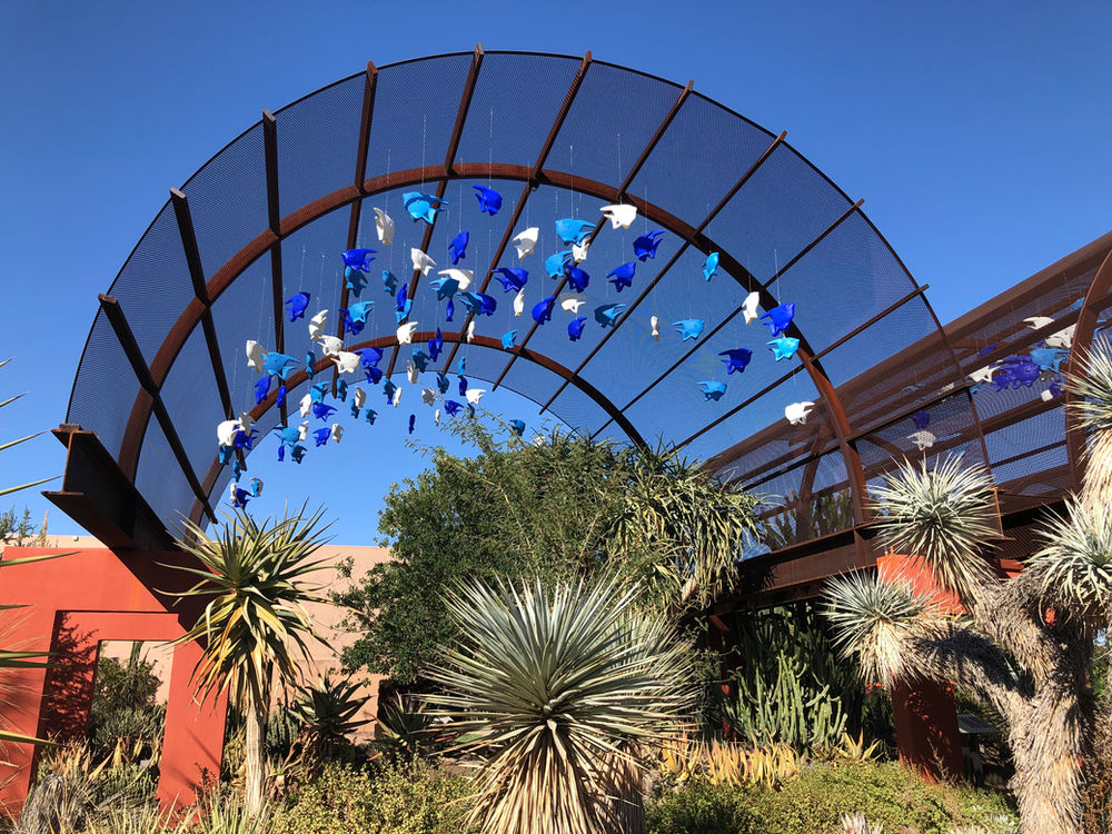 We loved the new exhibit Wild Things at the Desert Botanical Garden in