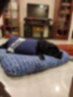 IMG-20211206-WA0003