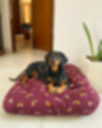 IMG-20211109-WA0019