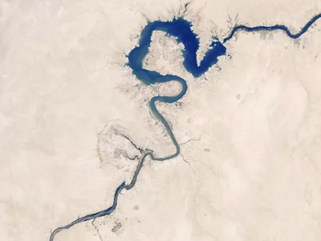 CLIMATE ARTS WEB: CALL FOR REGIONAL CURATORS & ARTISTS