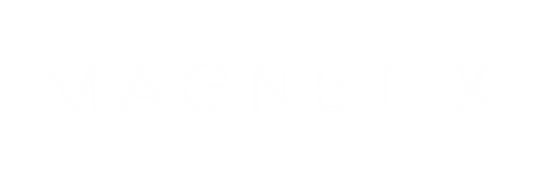 HorizontalLogo-Magnetix-01.png