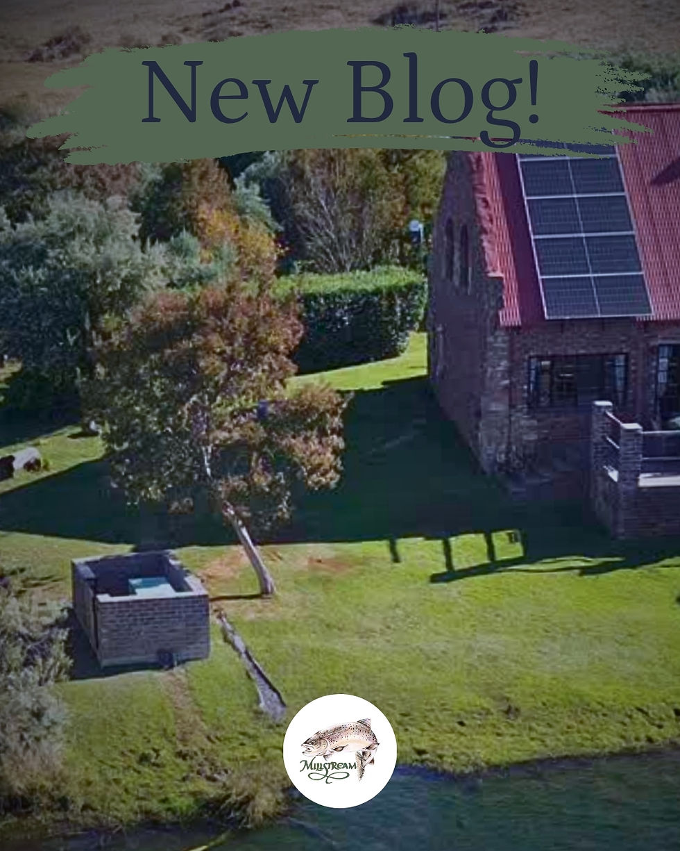 What the Bubble? How Nano Tech is Helping Lake Millstream Breathe Easy Again