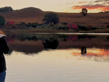 Embrace the Adventure: Discover the Thrill of the Outdoors at Millstream Farm