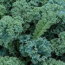 kale.jpeg