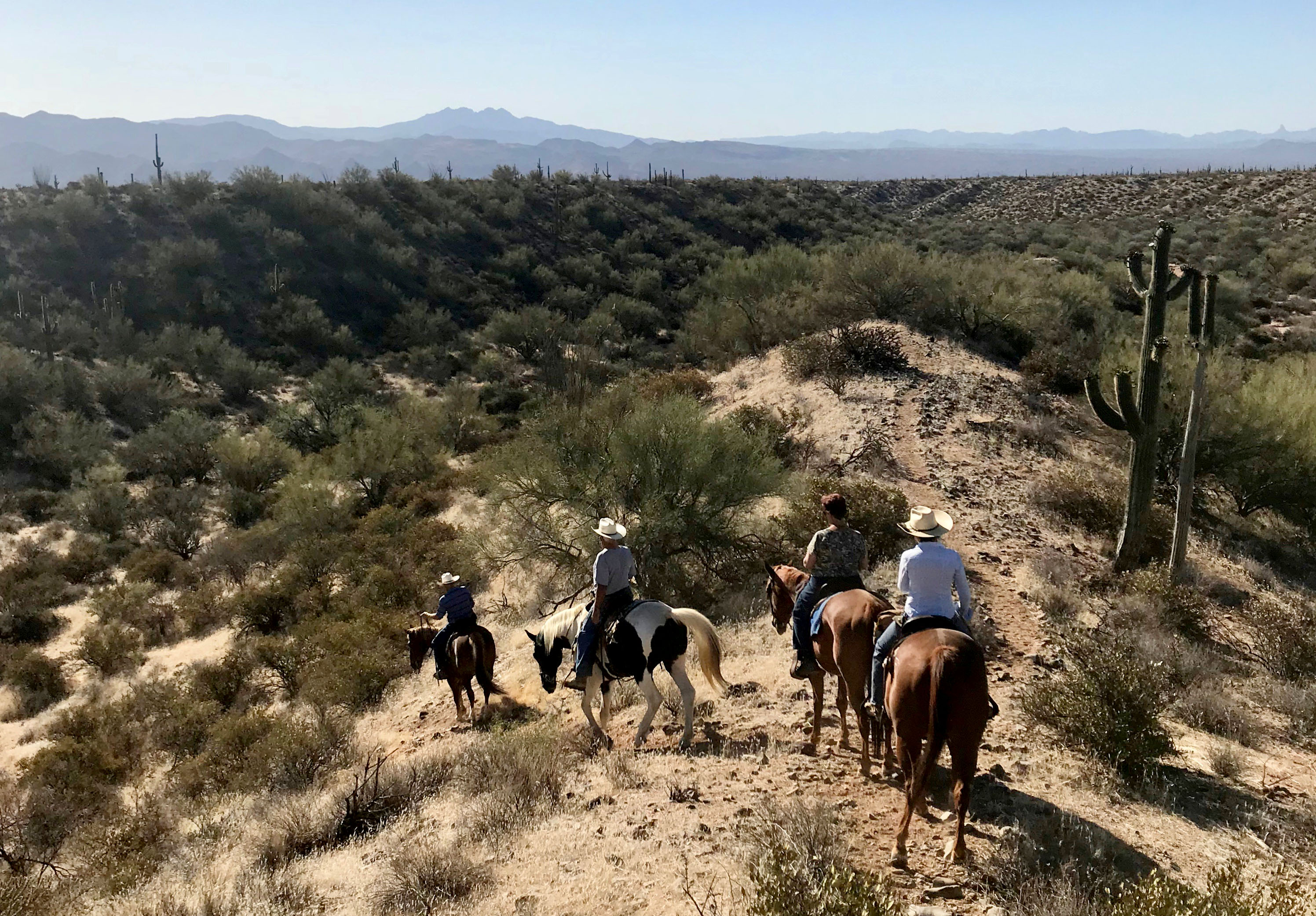 trail riding in the Tonto National