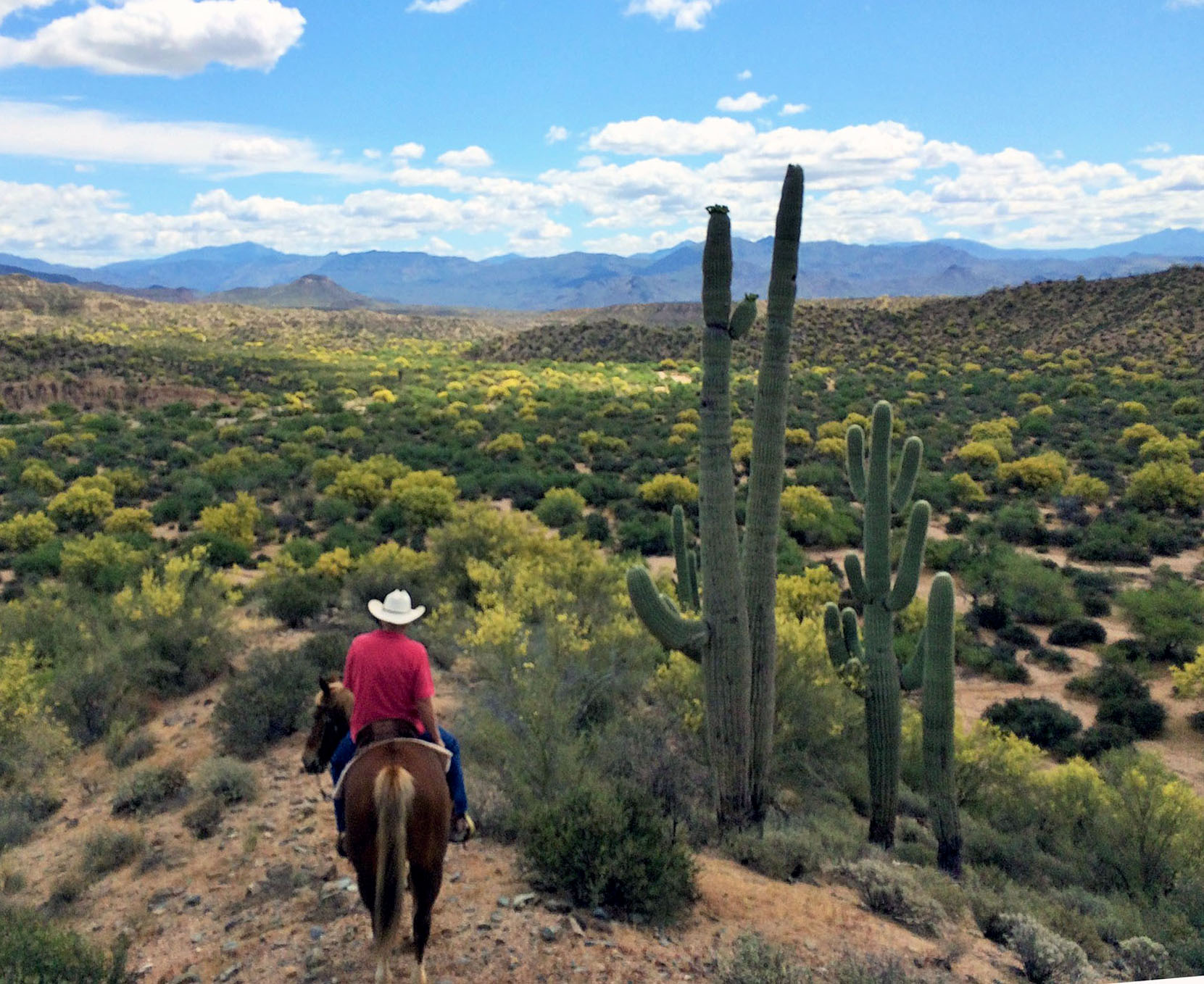 Cowboy heaven
