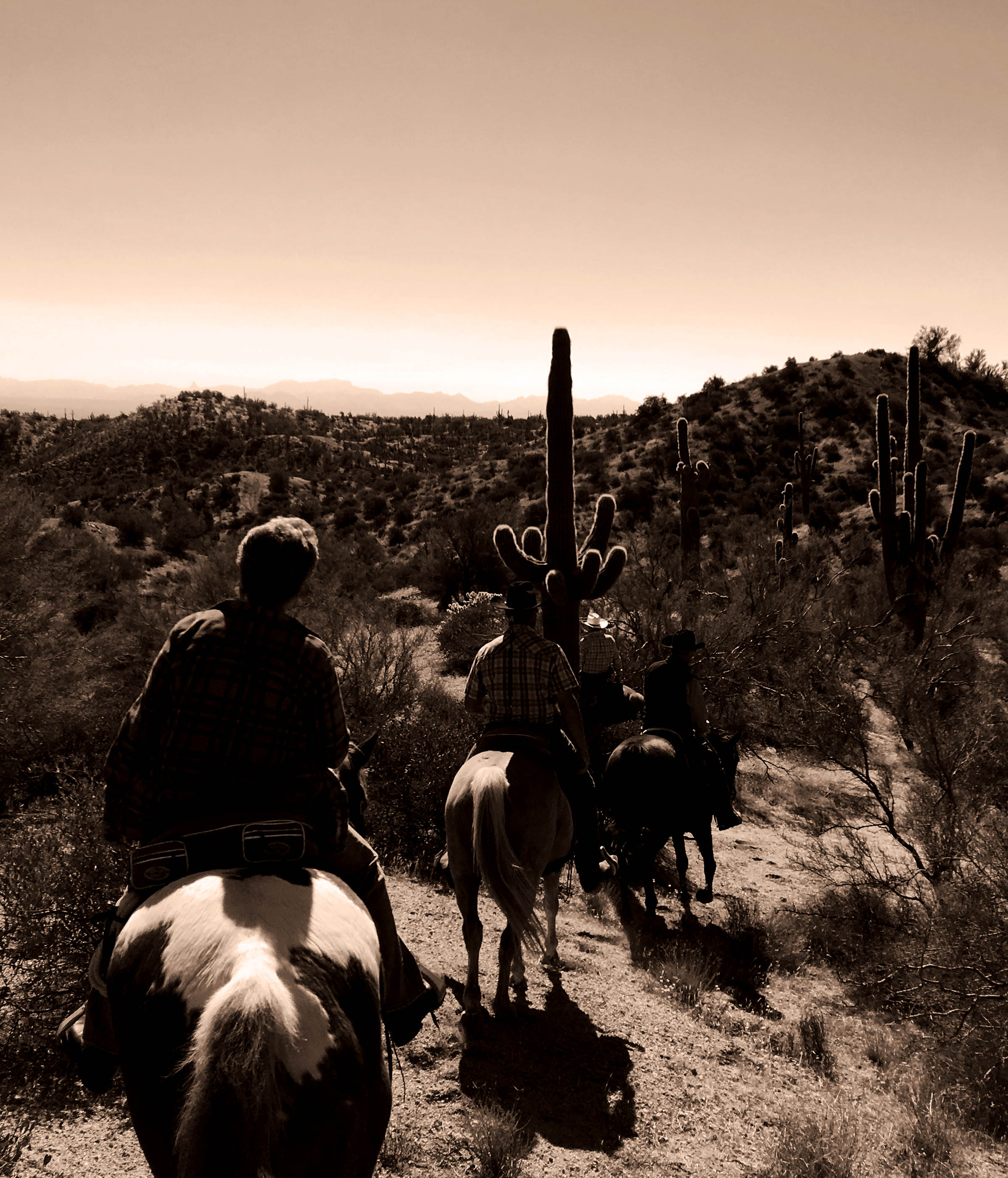 trail riding in the Tonto National