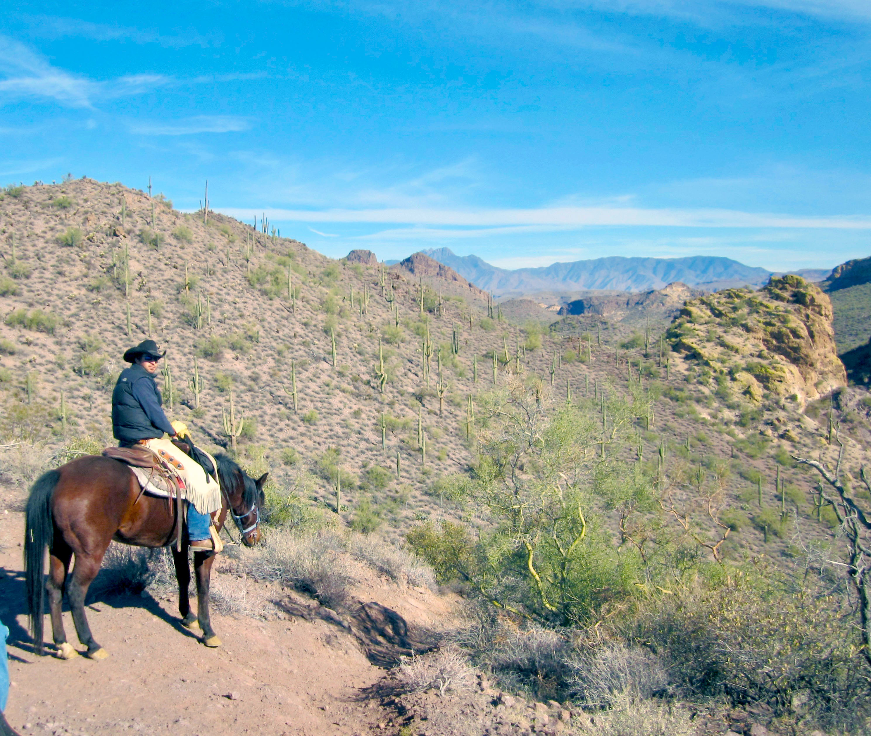 Remote horseback riding