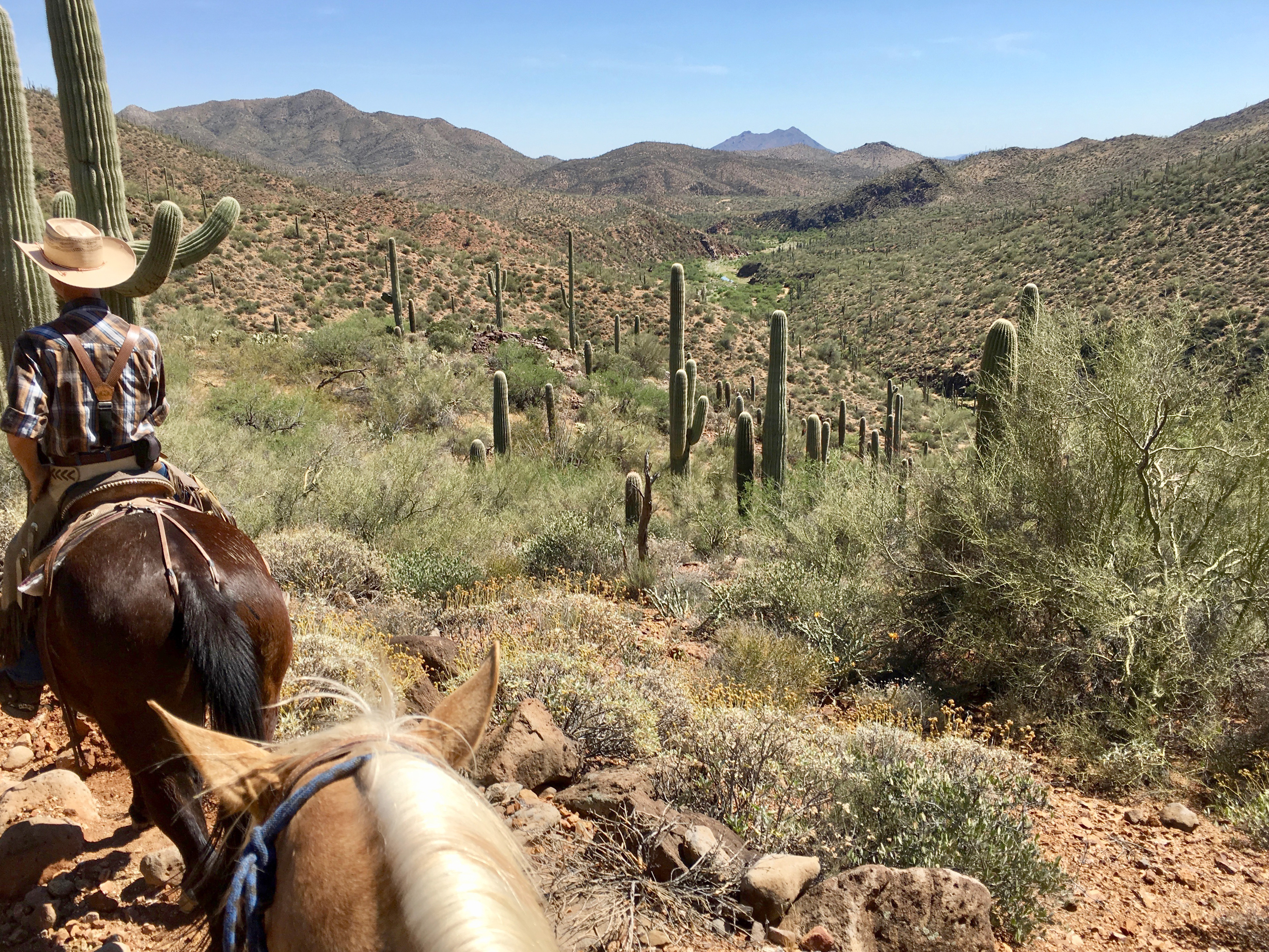 Trail riding in the wilderness