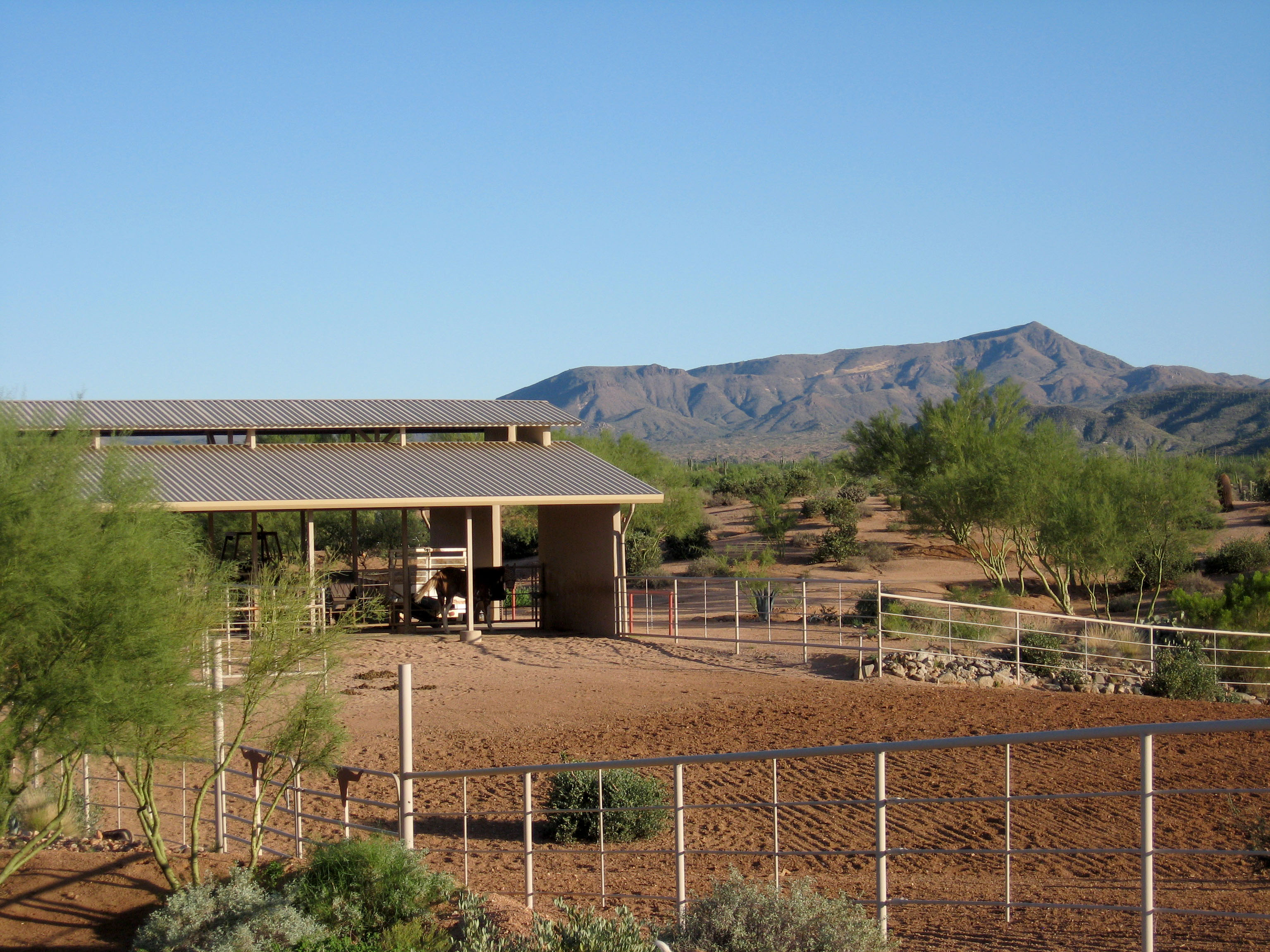 Tonto National Forest out back