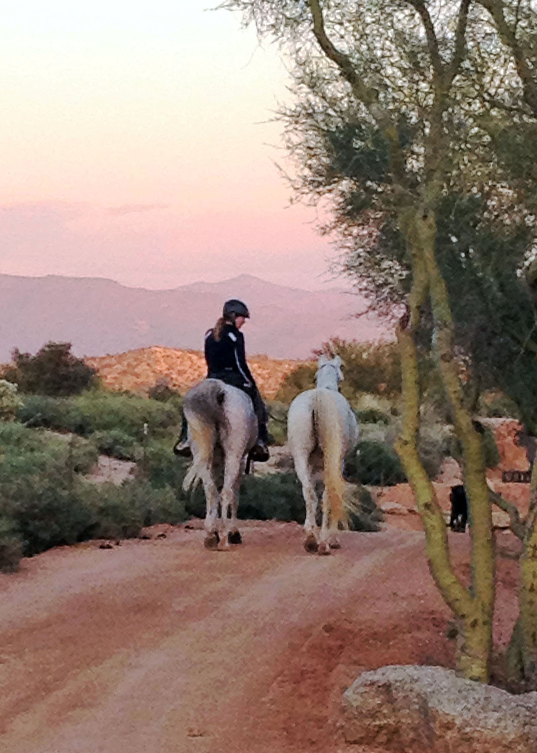 trail riding in the Tonto National