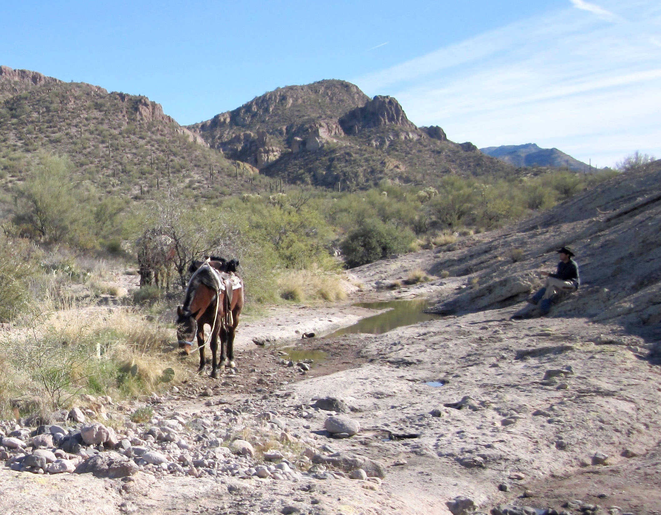 Remote horseback riding