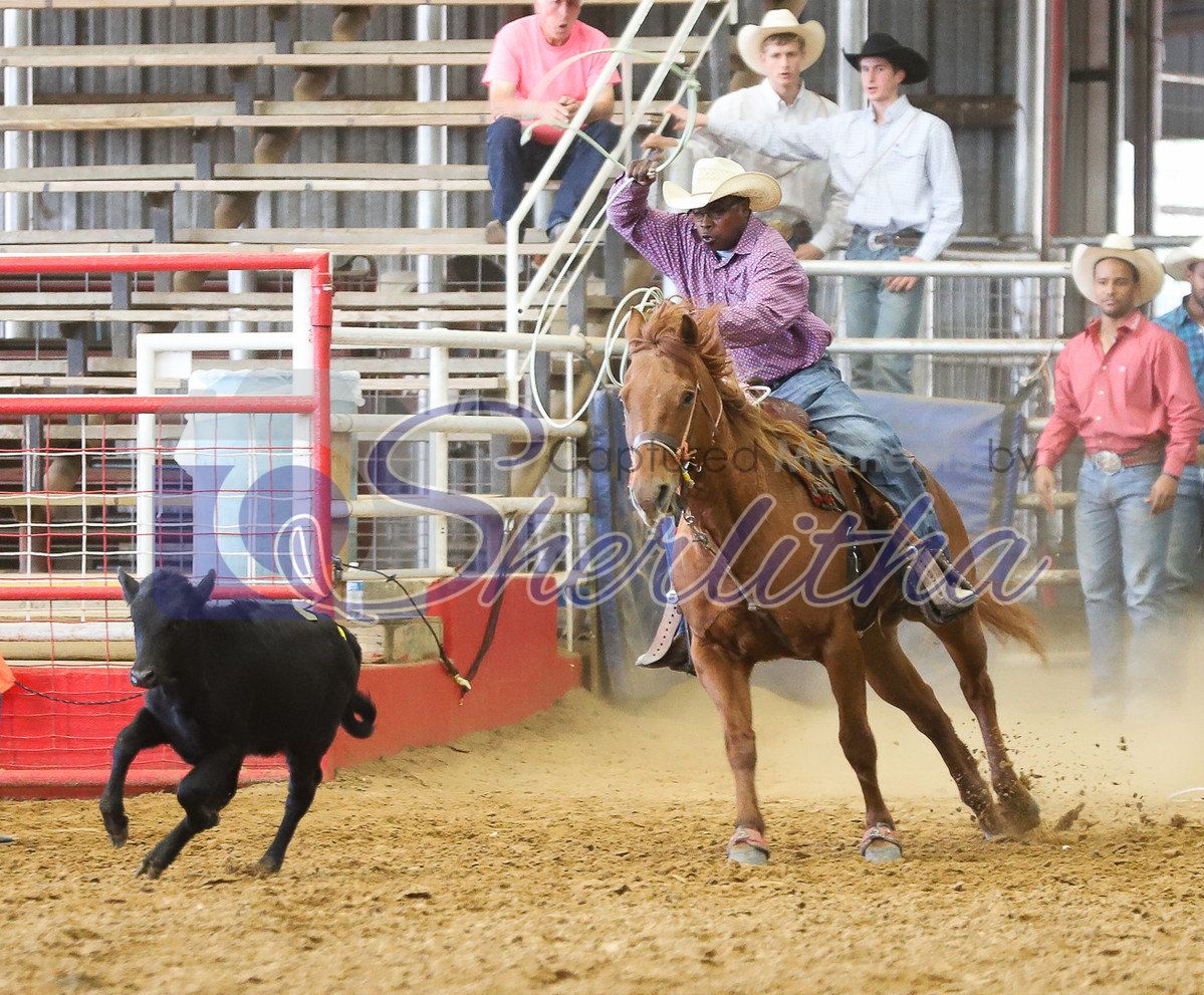 Captured Moments by Sherlitha | Liberty Rodeo