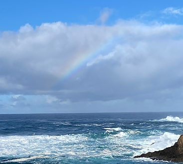 IMG_1979 (1)_edited.jpg