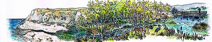 illustration of the noyo headlands vision