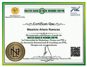Master Coach de Negocios PNL.png