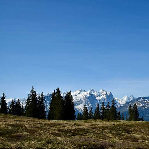 Yogaferien Balisalp Fotogalerie 18.jpg
