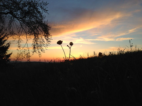 IMG_0366.jpeg