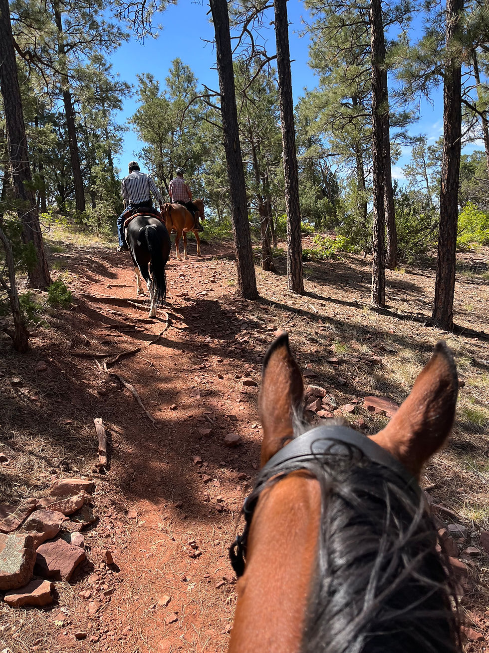 Cienega Horse Bypass Trail leading east, away from the parking area.