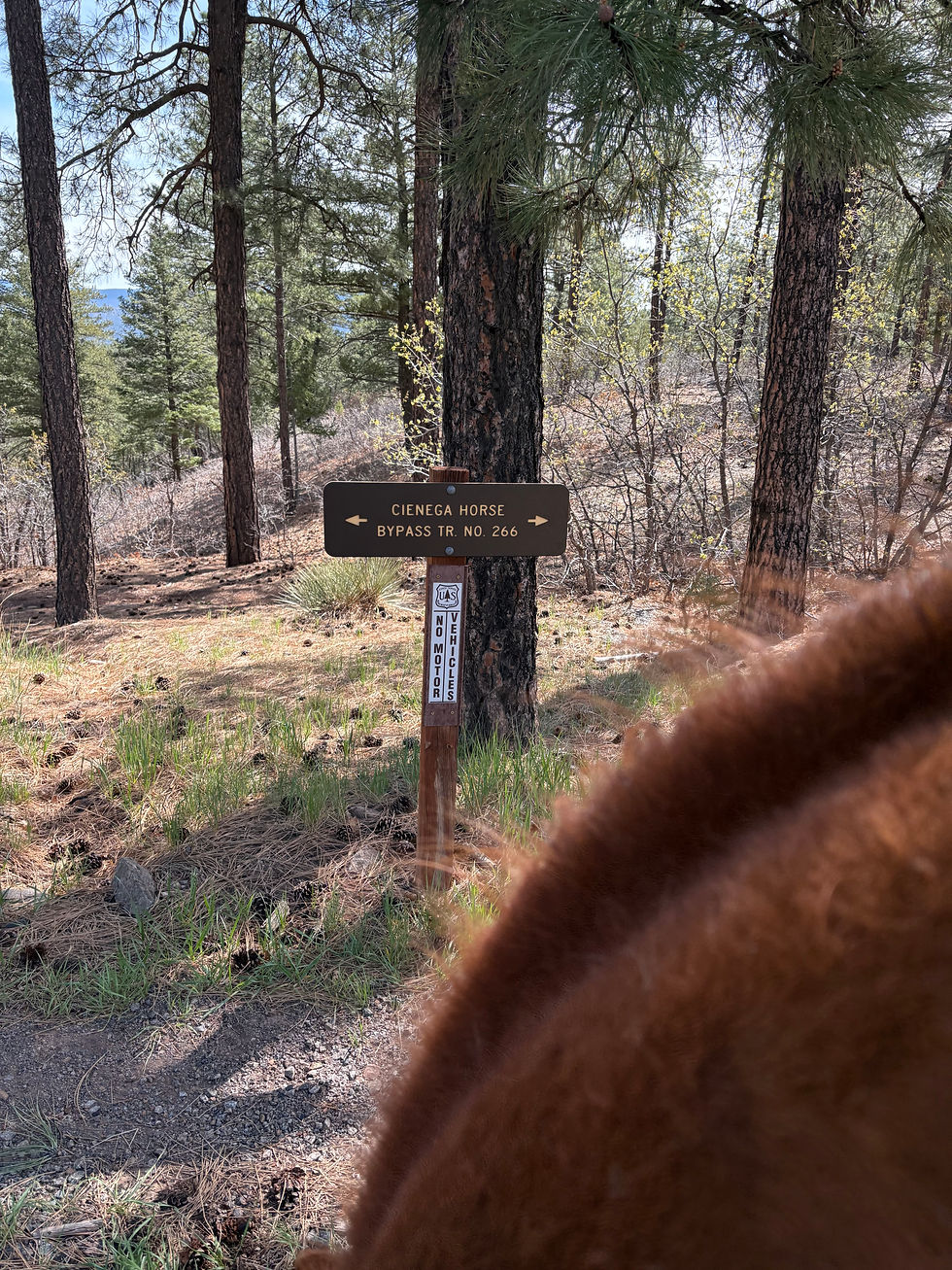 Trail signage.