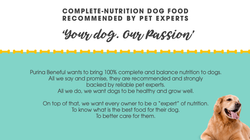 International Marketing Assignment