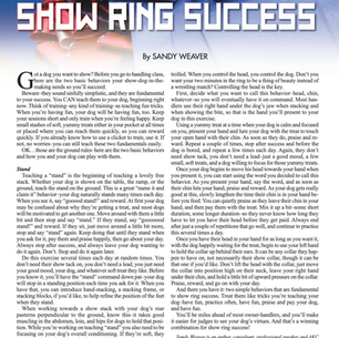 The Secret to Show Ring Success