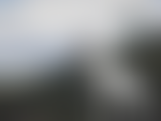 Nutritional Management of Weight