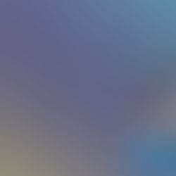 Breeder Interview with Aces-Up Akitas