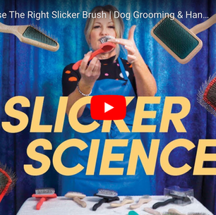 How To Choose The Right Slicker Brush