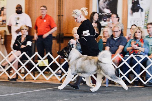 National Specialty 2019