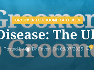 Autoimmune Disease: The Ultimate Allergy