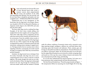 The Importance of Proportionately Tall: Saint Bernard